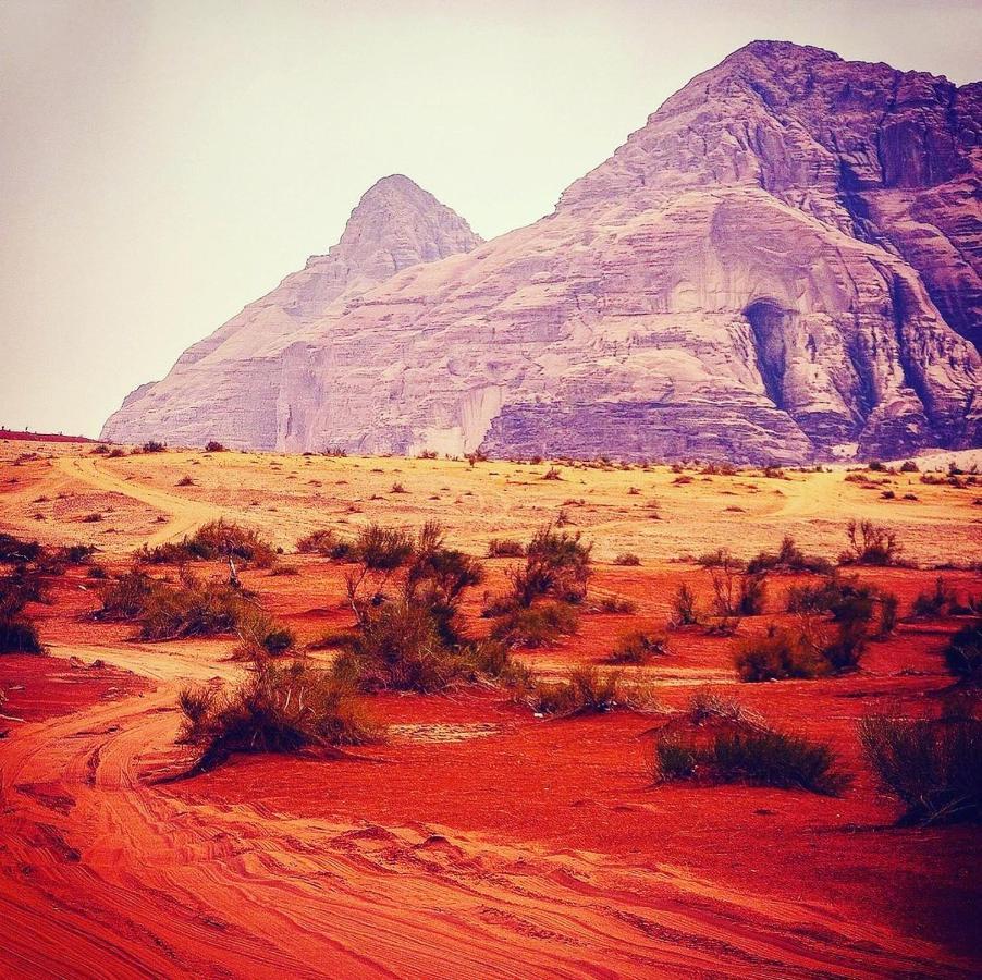 Hotel Maraheb Luxury Camp à Wadi Rum Extérieur photo
